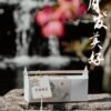【月发美好】【Set A: Moon of Prosperity】
